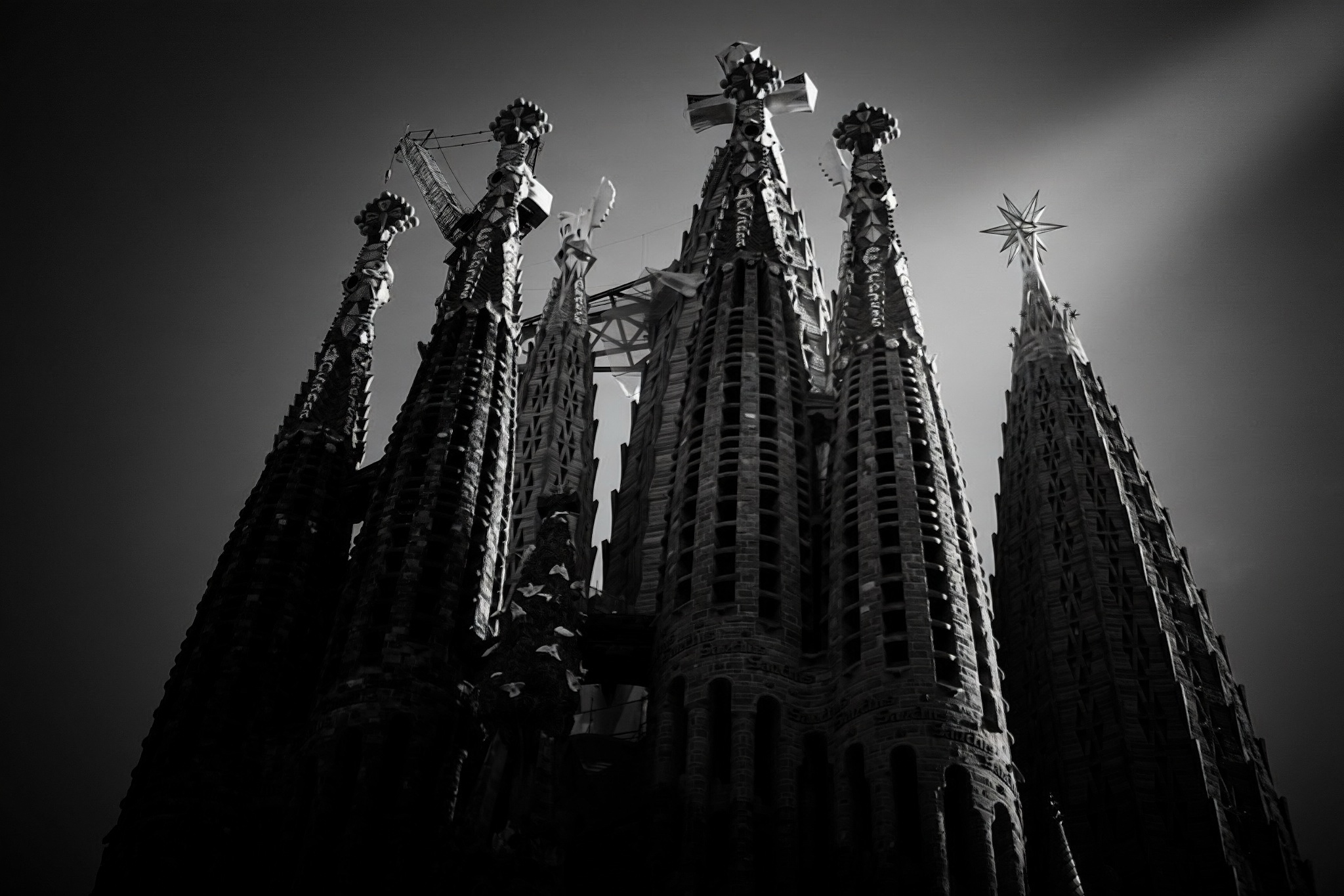 Galería fotográfica de la Sagrada Familia | Barcelona